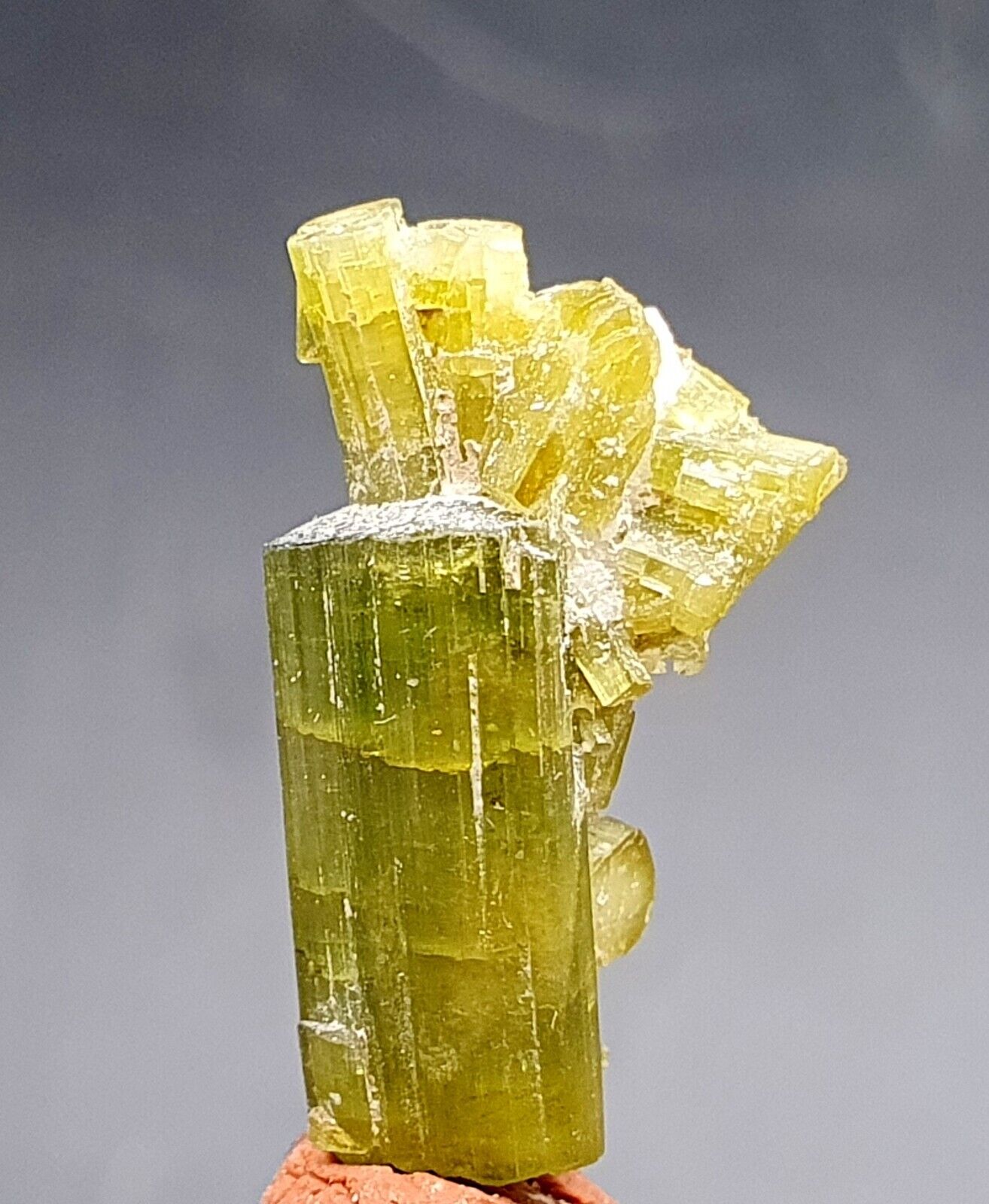 6 CT Undamaged Top Grade Green Tourmaline Bunch Crystal Mineral,s @ Pak 1