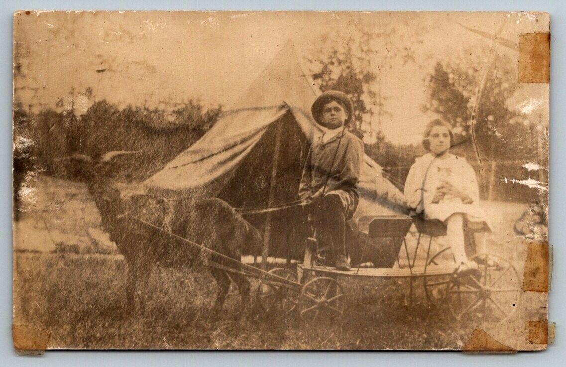 RPPC Young Children in Cart Pulled By Goat   Real Photo Postcard  c1915