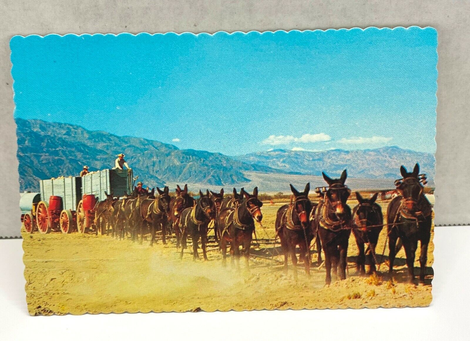 Twenty Mule Team Postcard Souvenir Unposted Wagon Western History