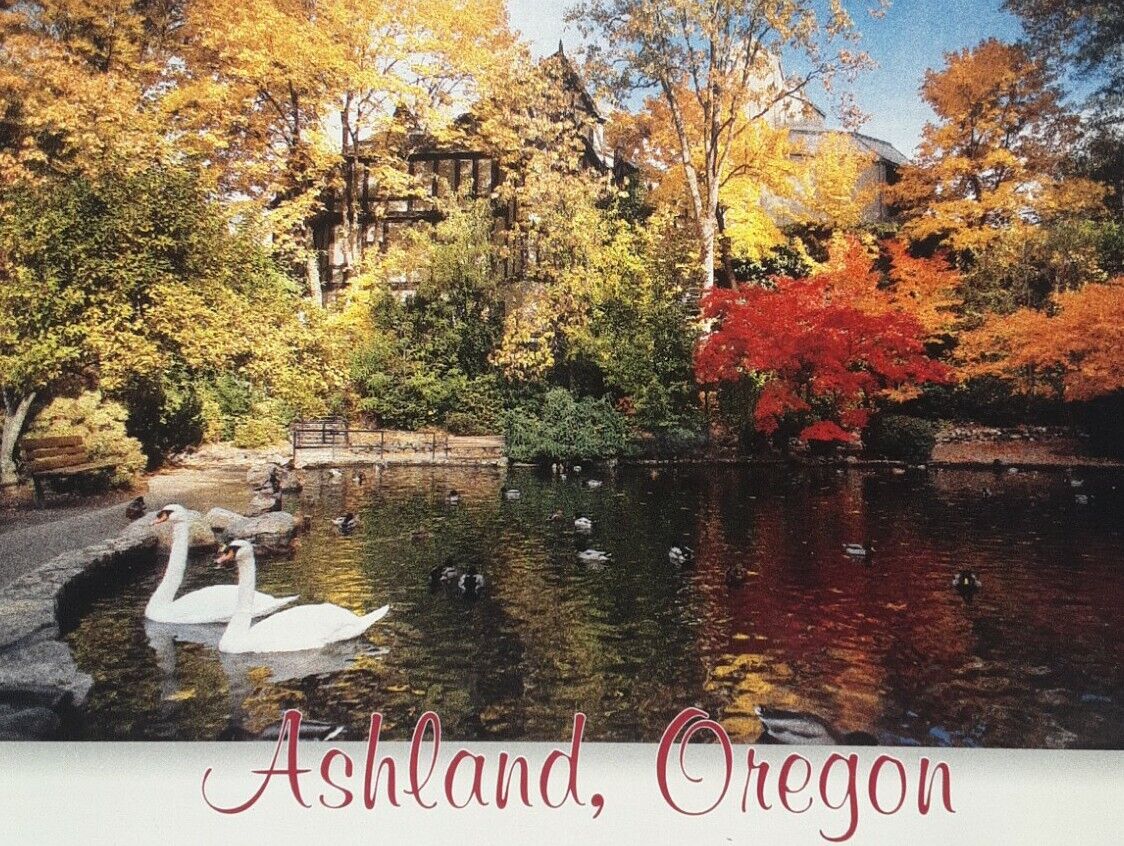 Vintage Postcard. Ashland, Oregon. Two Swans on Lithia Park Pond in Autumn #922