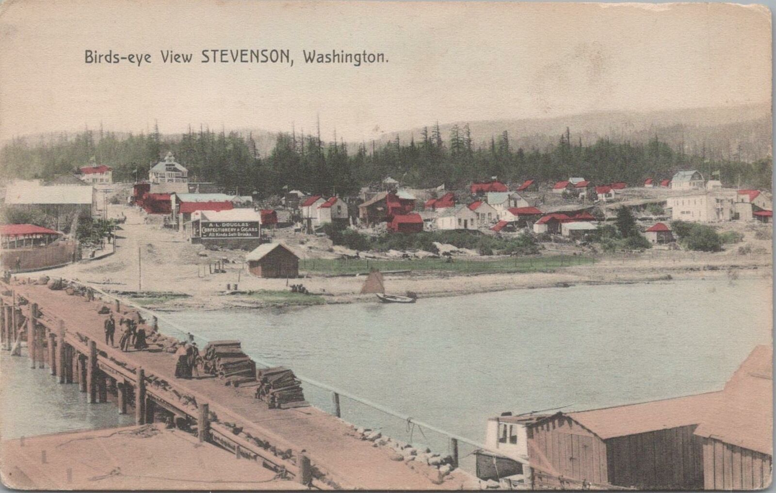 Postcard Birds Eye View Stevenson Washington WA 