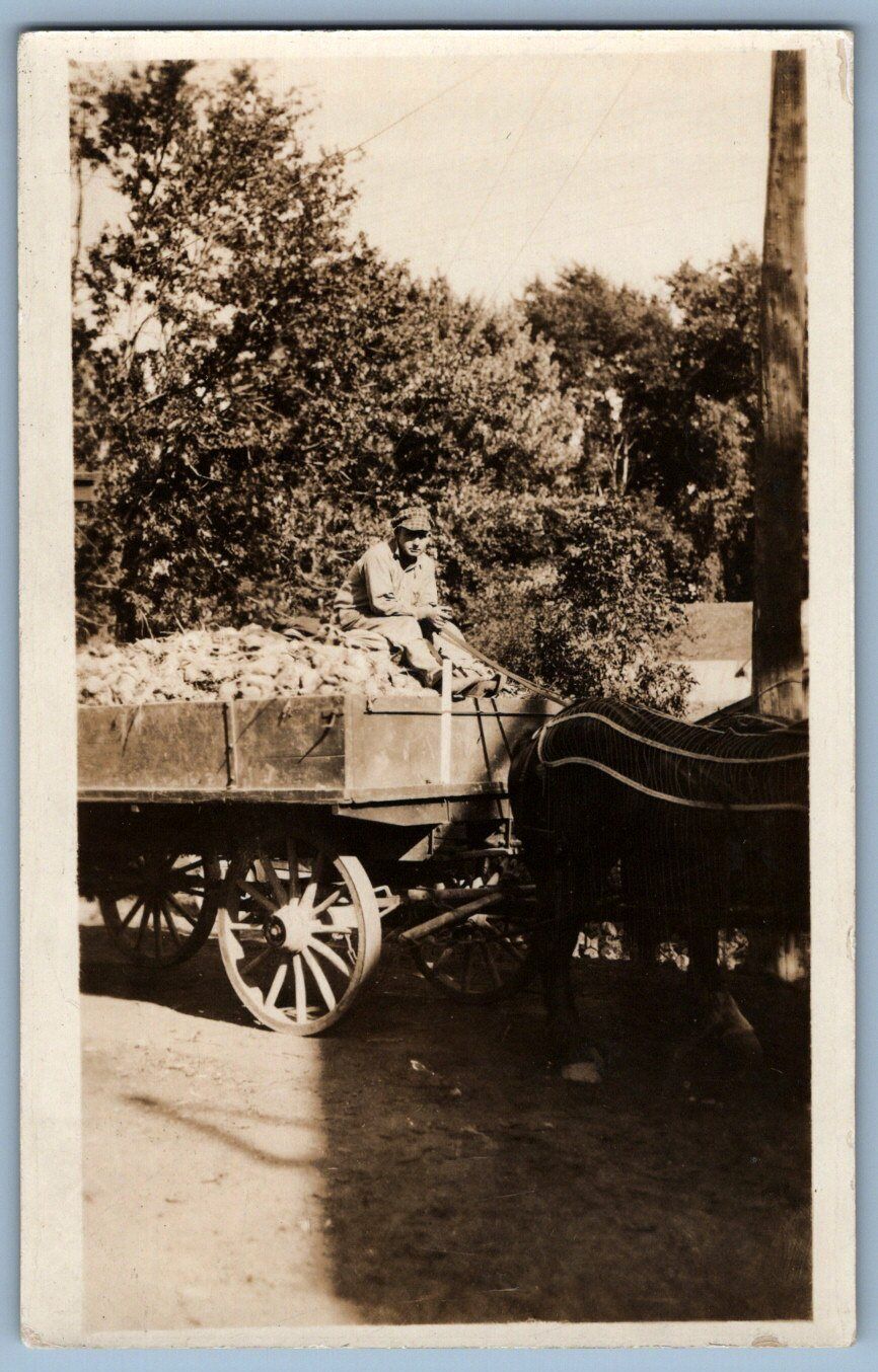 RPPC Postcard~ Farmer With Crops In Horse Drawn Wagon