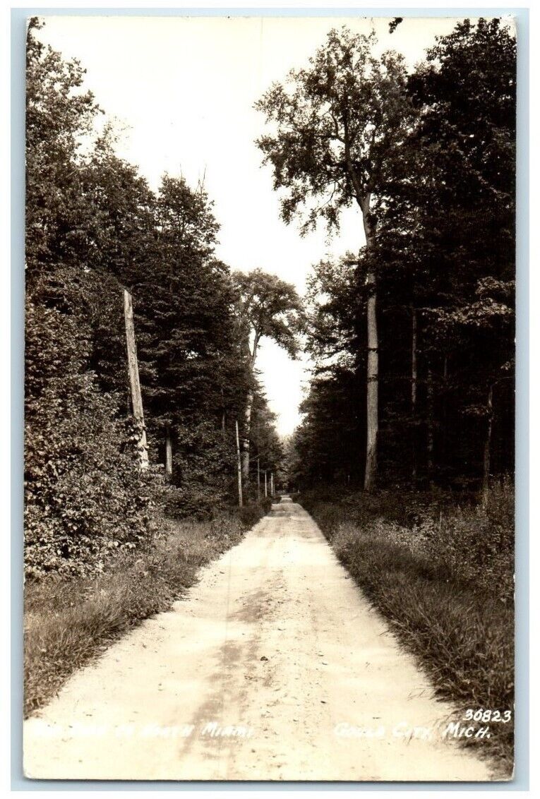 c1940's The Road To North Miami Cook Gould City Michigan MI RPPC Photo Postcard