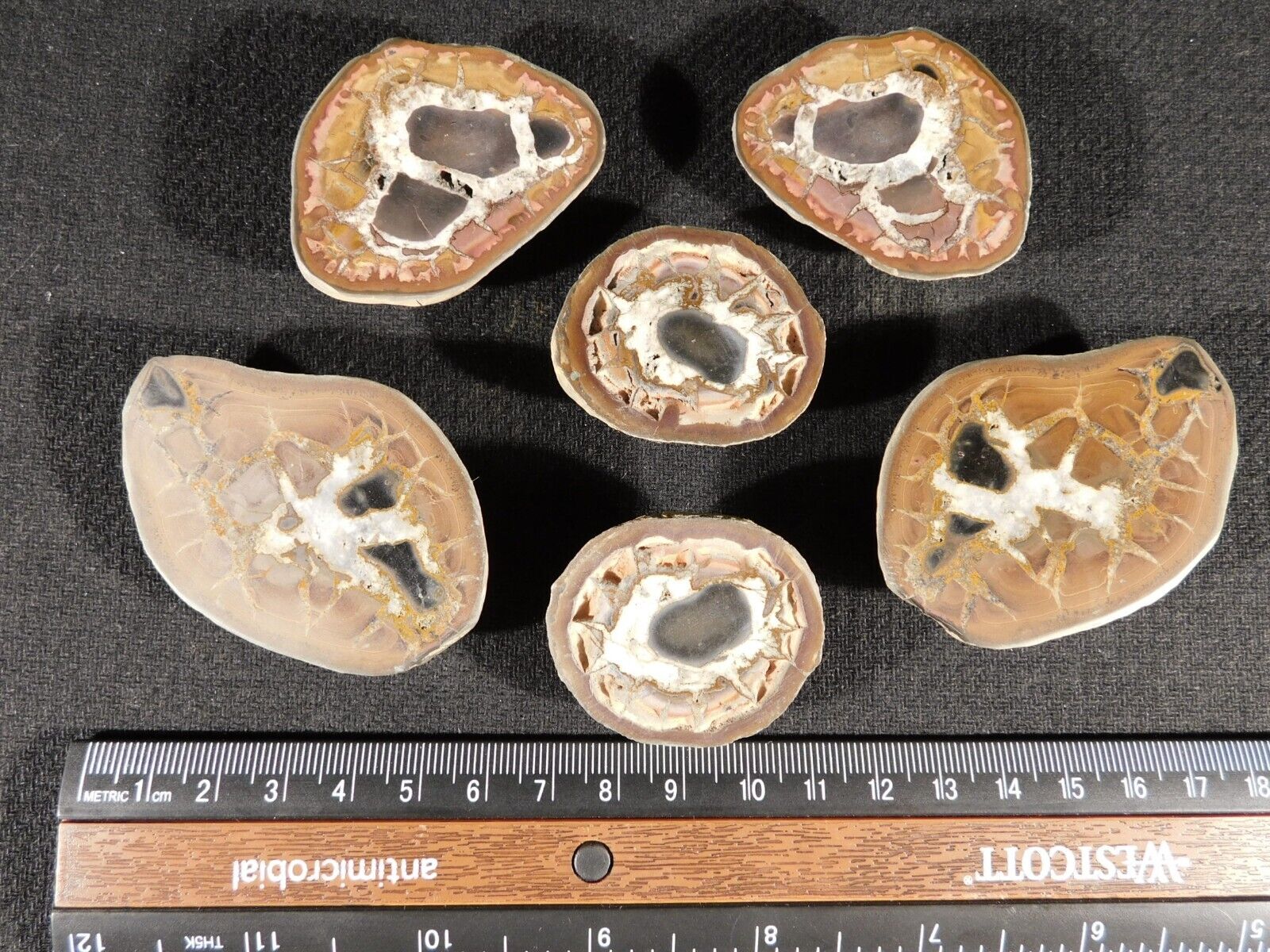 Lot of THREE Cut and Polished SEPTARIAN Nodules From Morocco 206gr