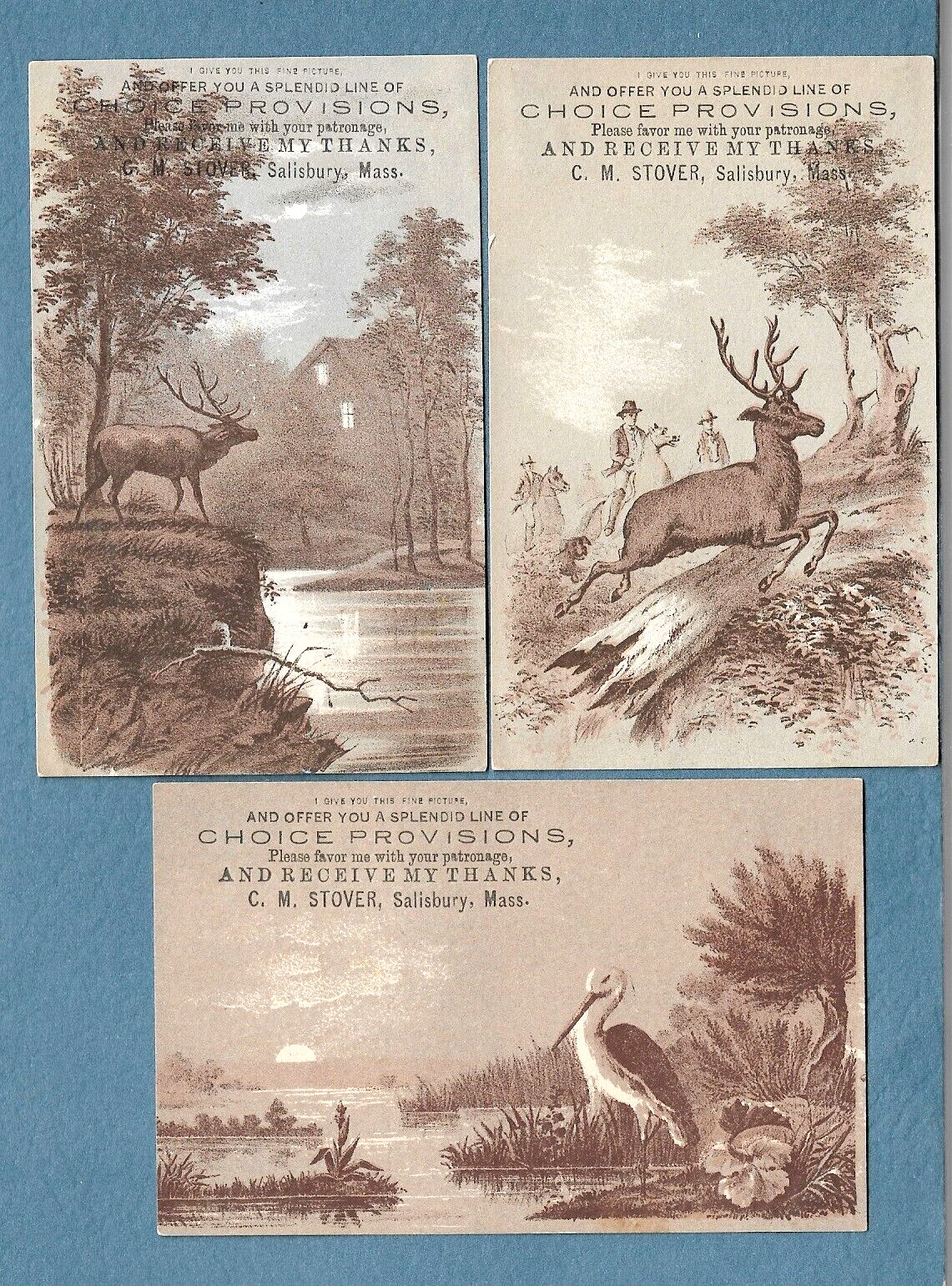 Lot Of 3 Diff c1880s Trade Cards CM Stover Provisions Salisbury Ma Mass