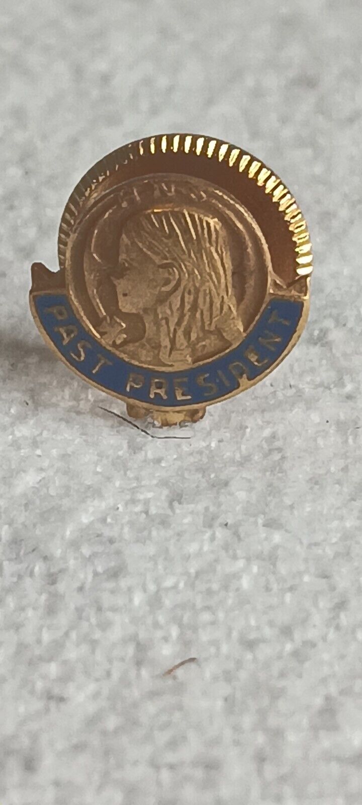 Vintage 10K Solid Gold HNS Past President Pin 2.3 grams