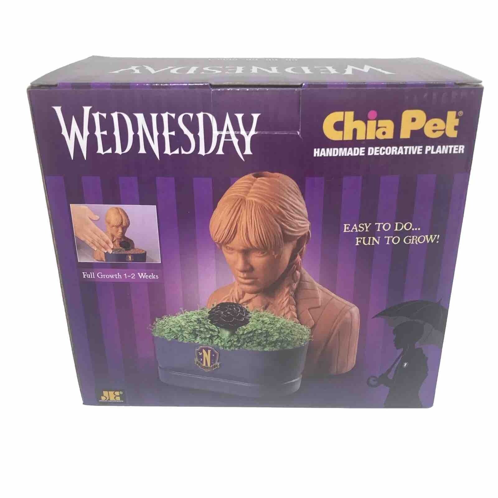 Chia Pet Wednesday with Seed Pack Decorative Pottery Planter The Addams Family