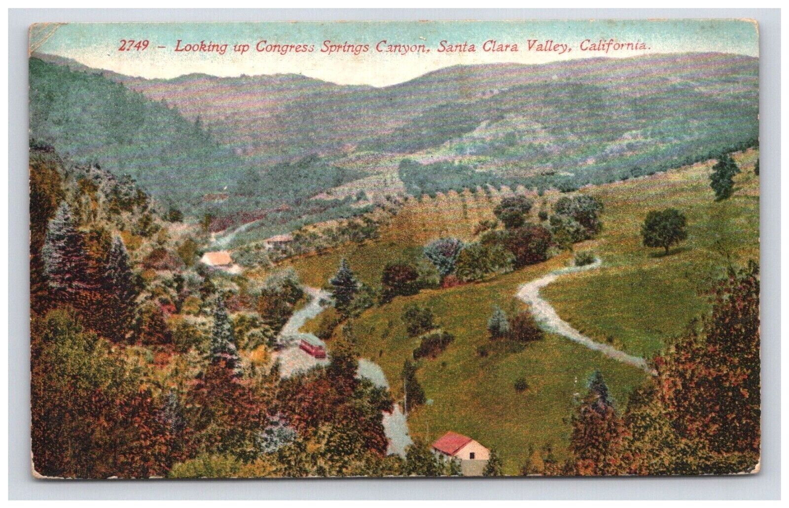 Postcard 1915 CA Congress Springs Canyon View Santa Clara Valley California     