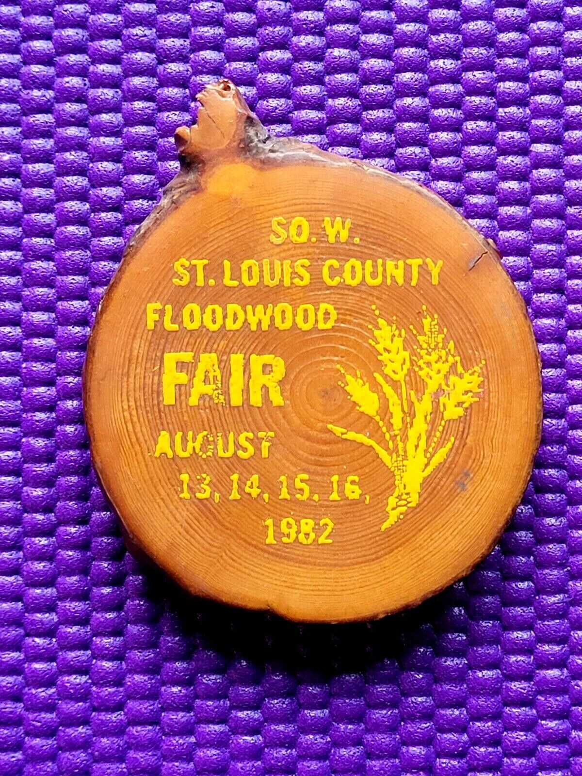 1982 ST. LOUIS/FLOODWOOD County Fair Pinback Button ~ Minnesota UNIQUE PIN