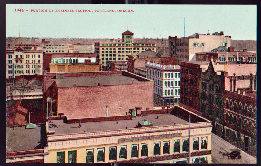 PORTLAND OREGON OR ca 1920 Portion of Business Section Edward Mitchell Postcard