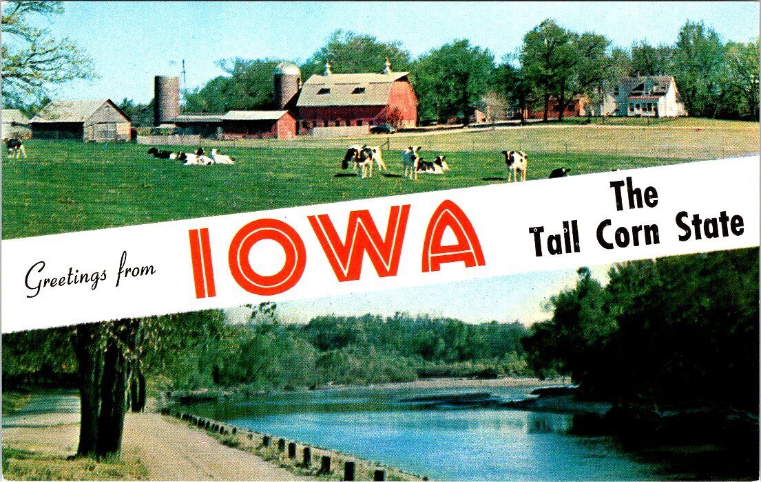 BANNERS, Greetings from IOWA Chrome Postcard - Colourpicture