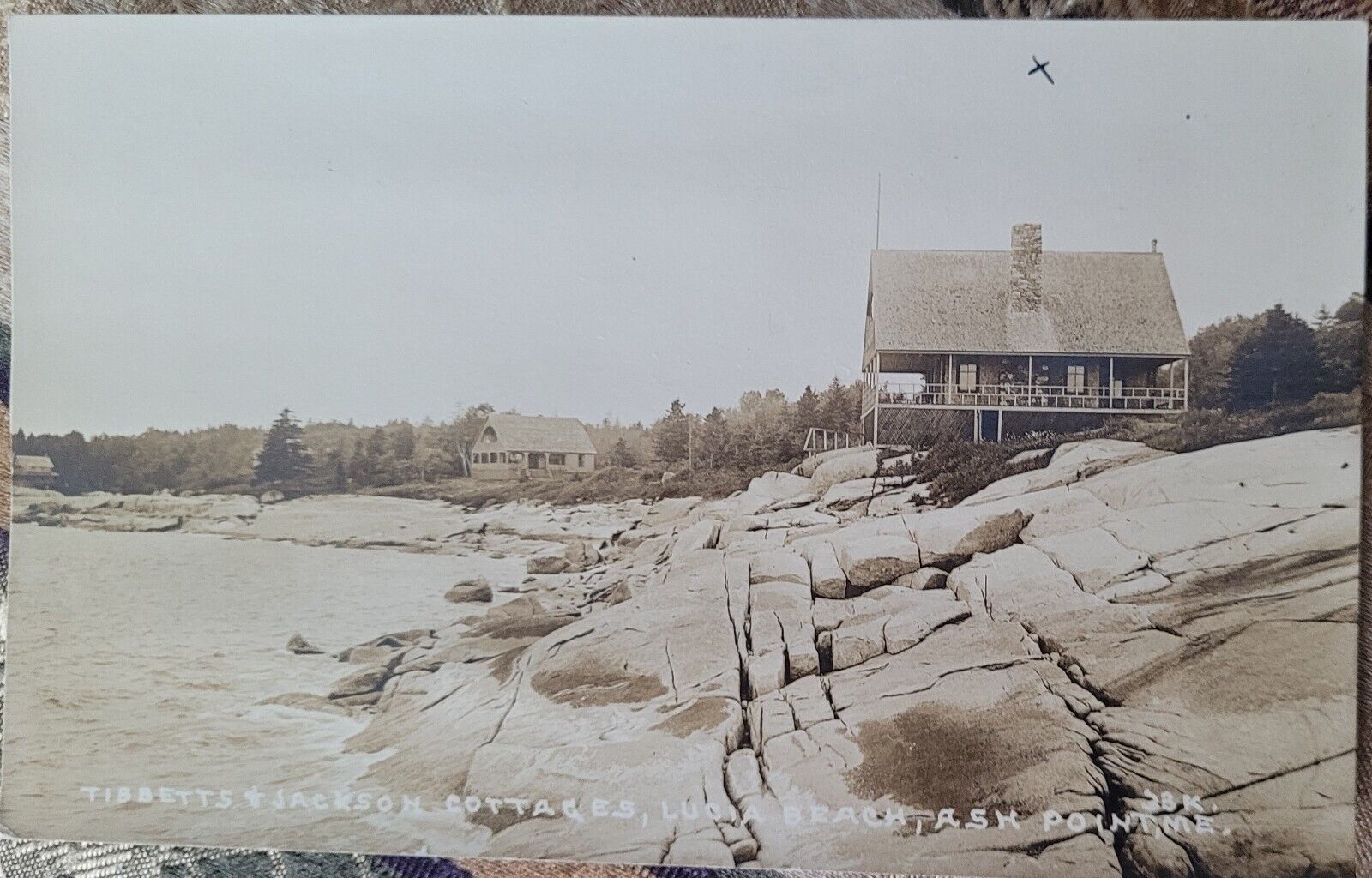 Postcard RPPC Ash Point Maine (Owls Head)