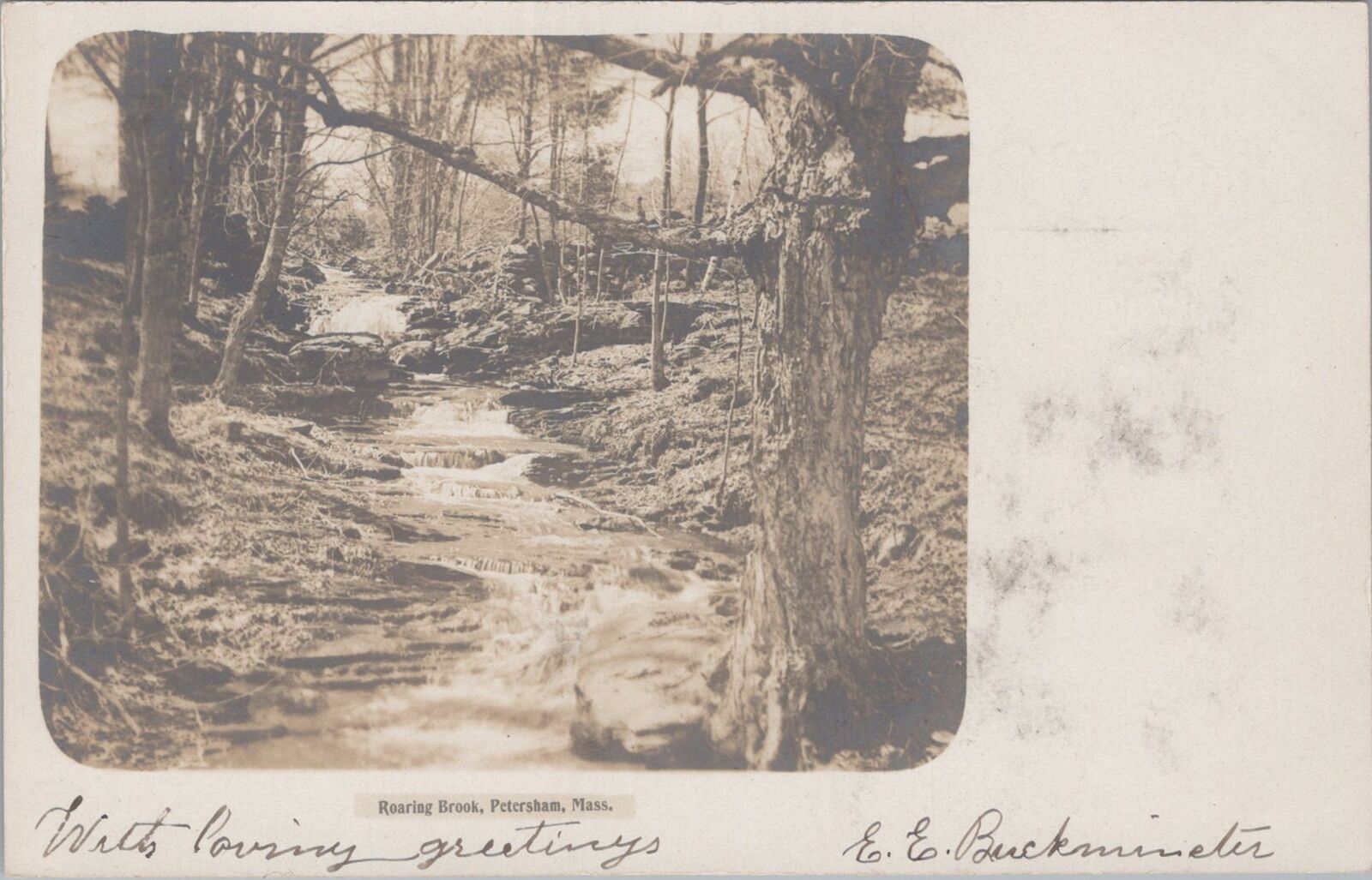 Roaring Brook Stream Petersham Massachusetts RPPC c1900s Photo Postcard