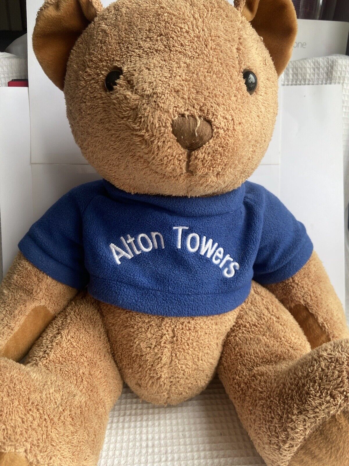 Vintage 2001 Alton Towers Brown Teddy Bear 