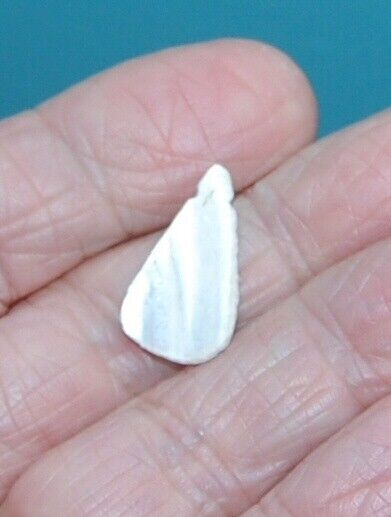 Northern Plains/South Dakota Miniature Shell notched Pendent, EX-Winston Hill