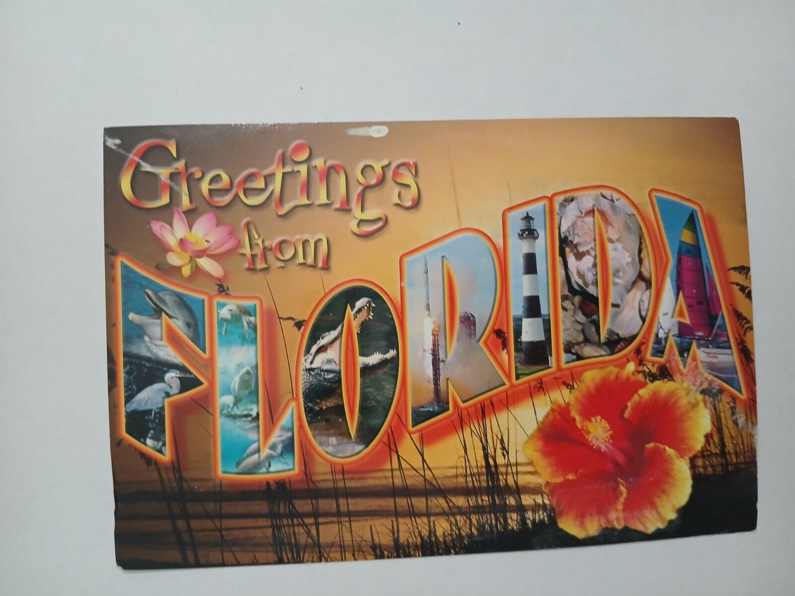 Florida Large Letters Greetings Beach   Vintage Linen Postcard