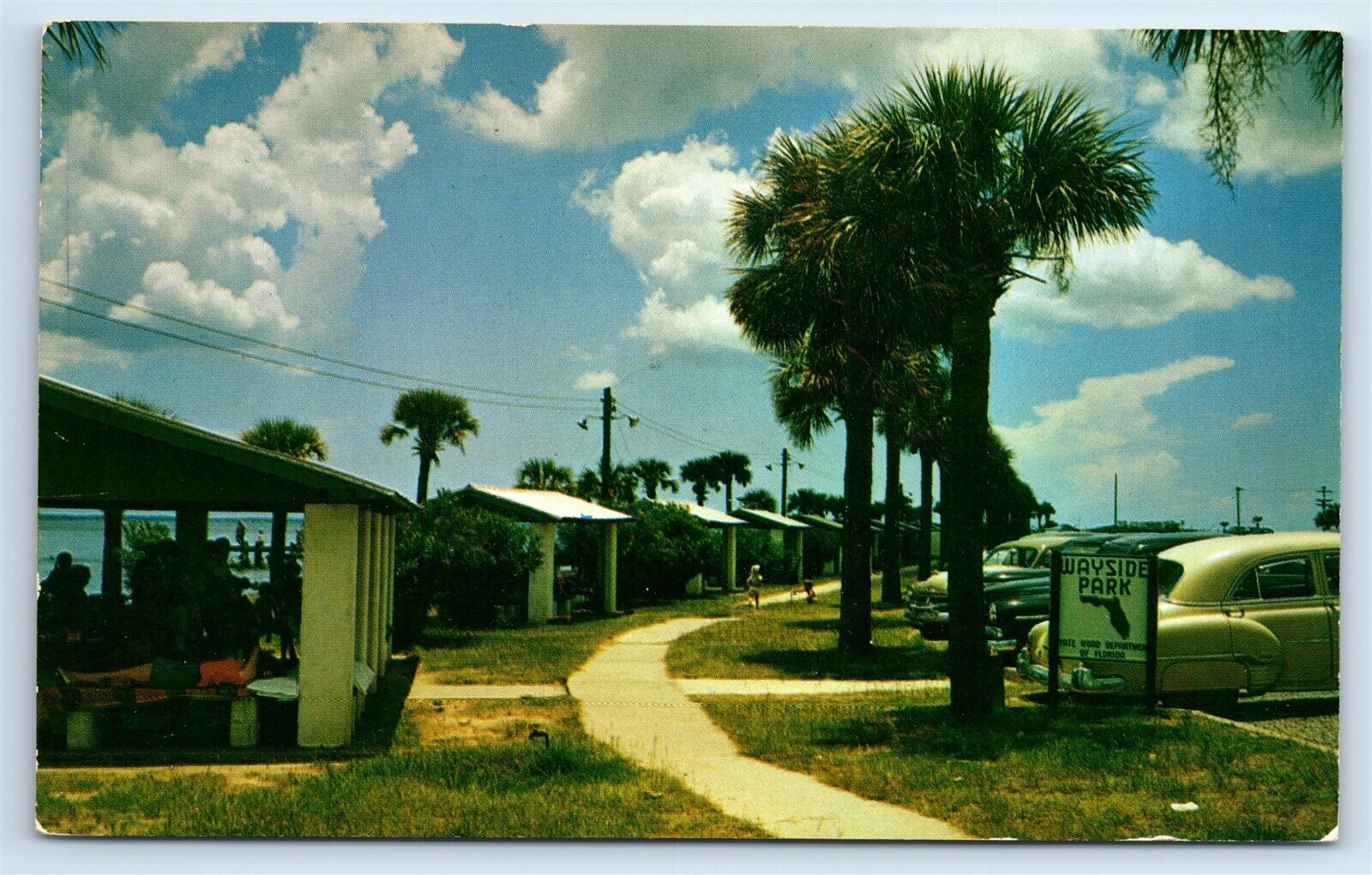 Postcard Wayside Park, Pensacola, Florida H194