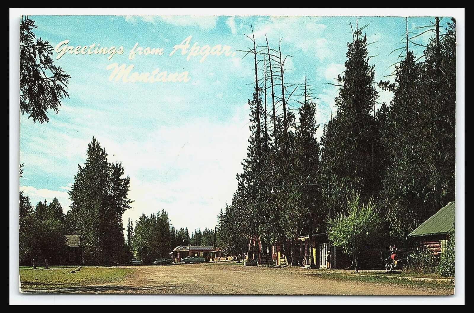 Apgar Montana Greetings Postcard Apgar Village Glacier National Park       pc201