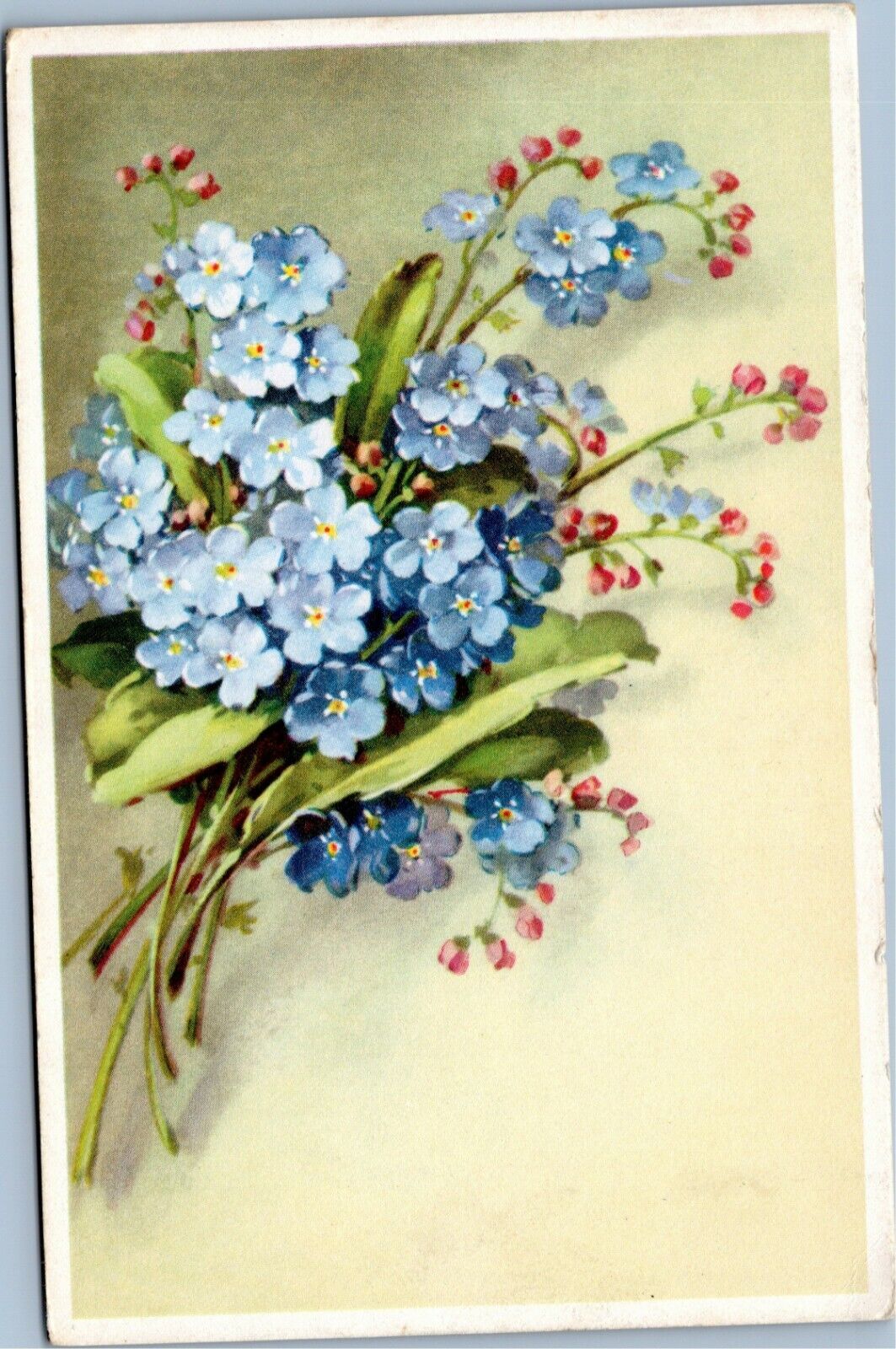 POSTCARD Blue forget-me-nots bouquet  Mainzer 
