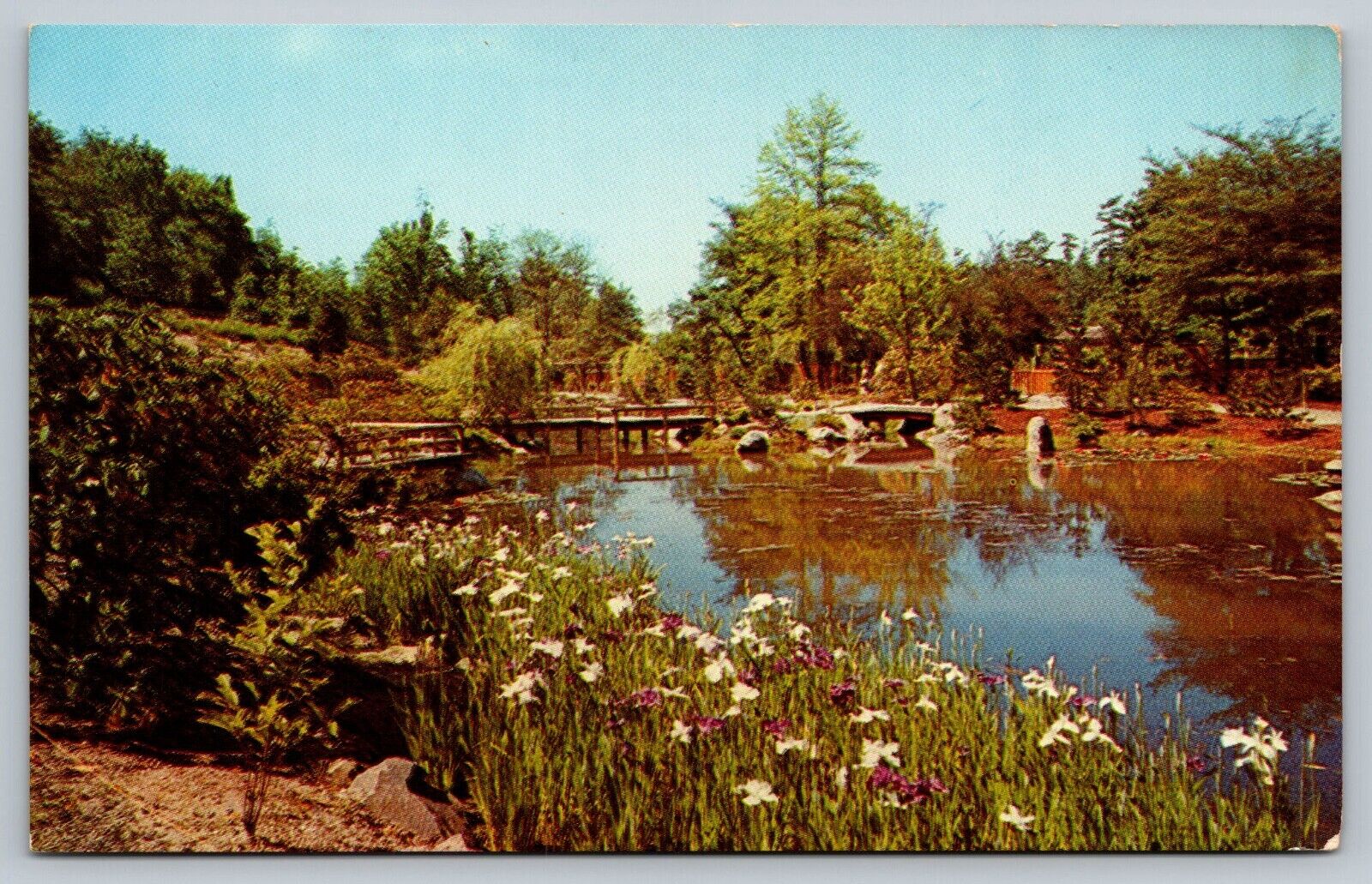 Postcard Japanese Tea Gardens, University of WA Arboretum, Seattle