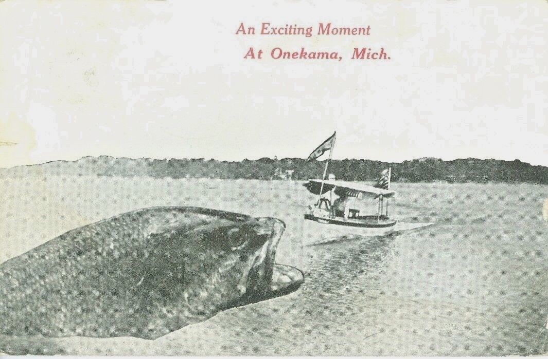 Onekama MI A 1914 Big Fish Greetings from Onekama