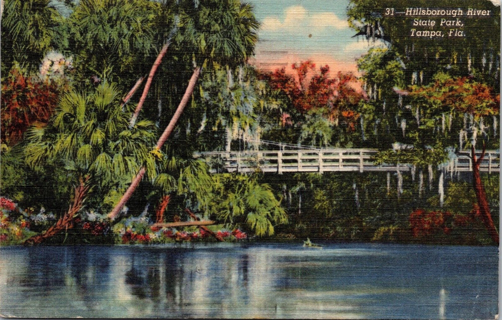 Postcard Hillsborough River State Park Tampa Florida FL Foot Bridge 1946