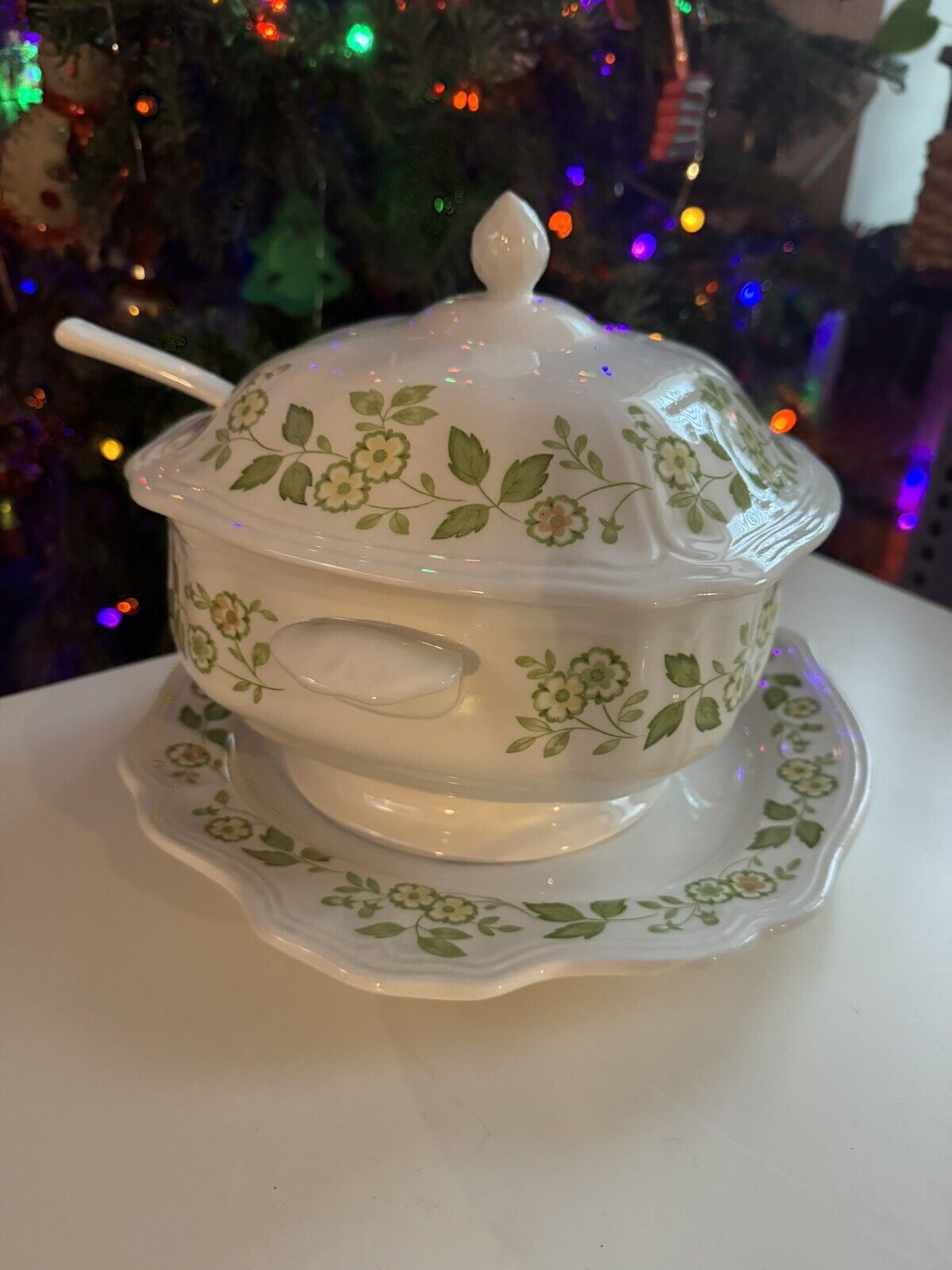 Vintage Petit Flora Ironstone Tureen (soup Pot) With Ladle And Plate