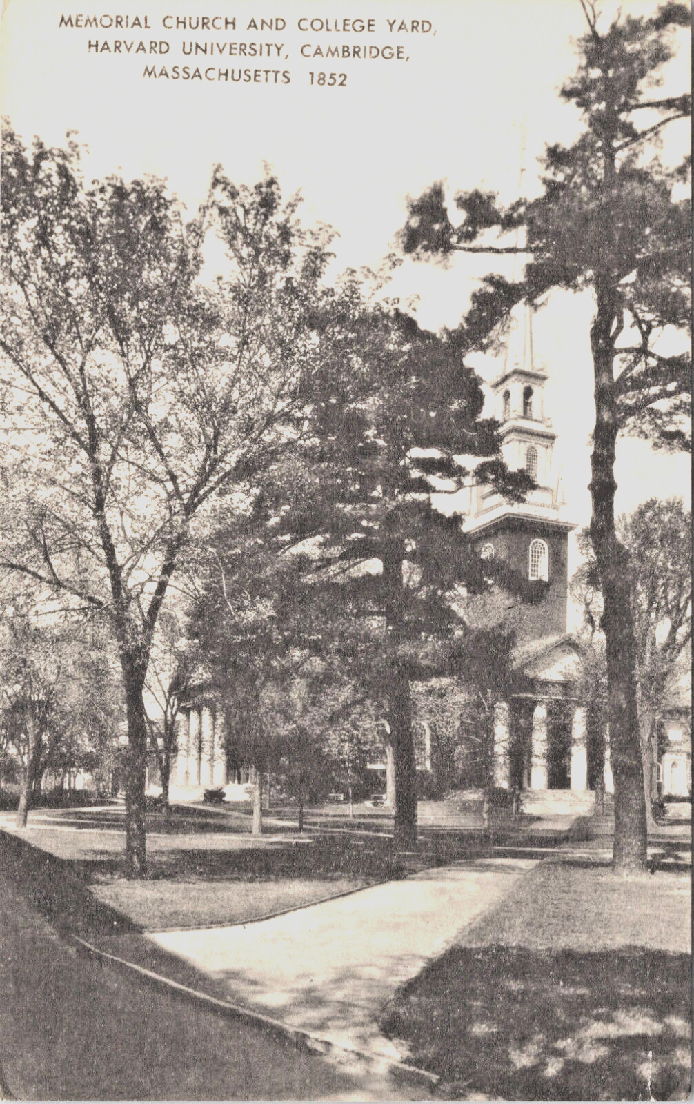 Worcester County Harvard Univ Memorial Church & College Yard Vtg Postcard CP329