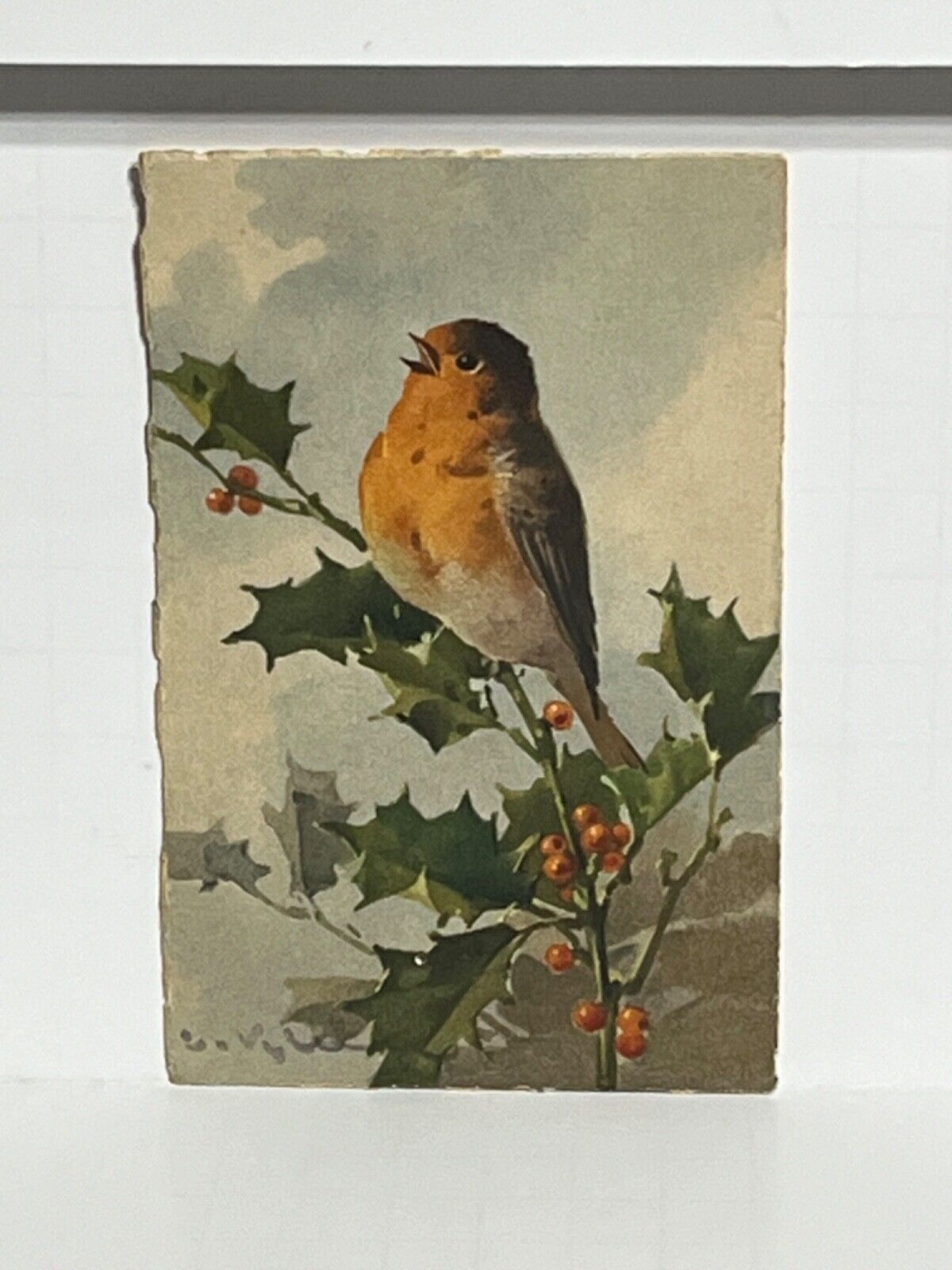 Postcard Bird and Holly Signed by Artist C. Klein A60