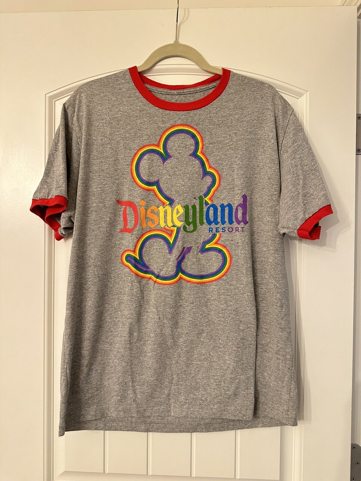 Rainbow Men or Woman's Unisex L Disneyland Resort T-Shirt