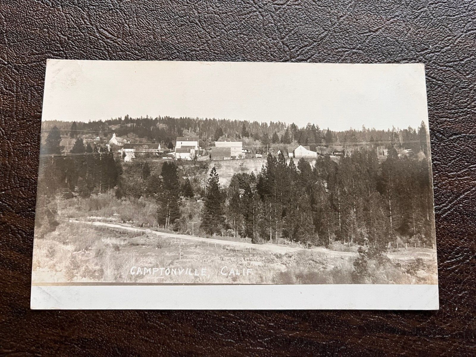 RPPC Camptonville California Panoramic Town View early 1900s