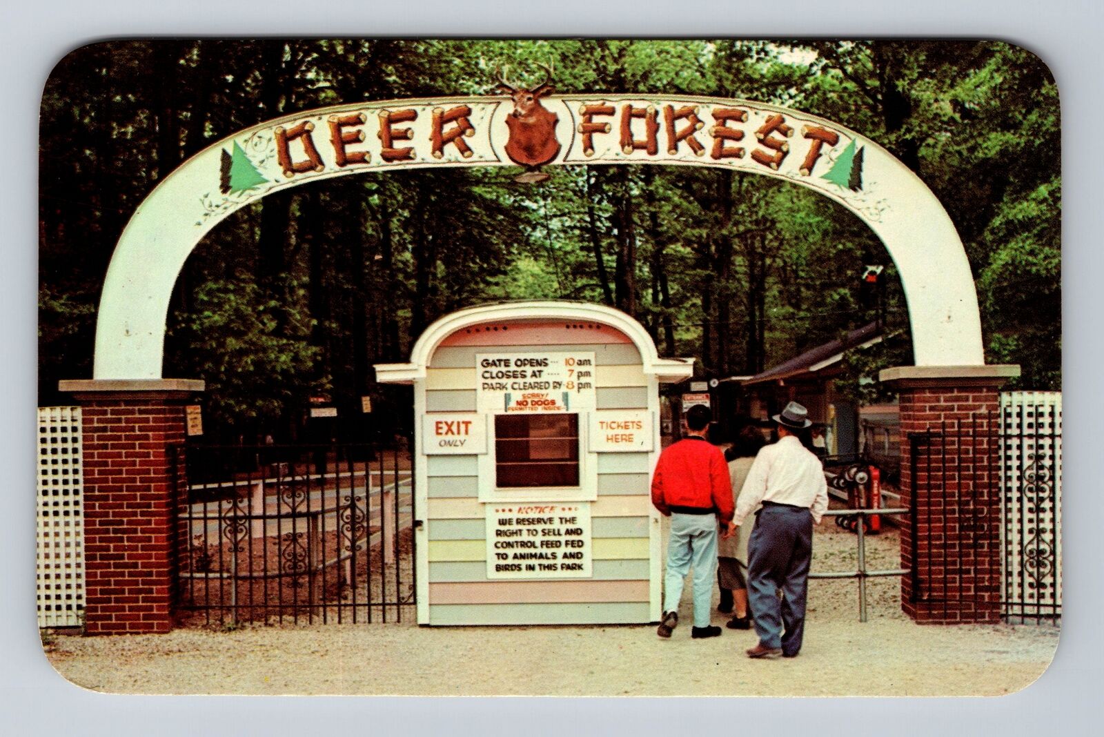 Coloma MI-Michigan, Deer Forest at Paw Paw Lake, Antique Vintage Postcard
