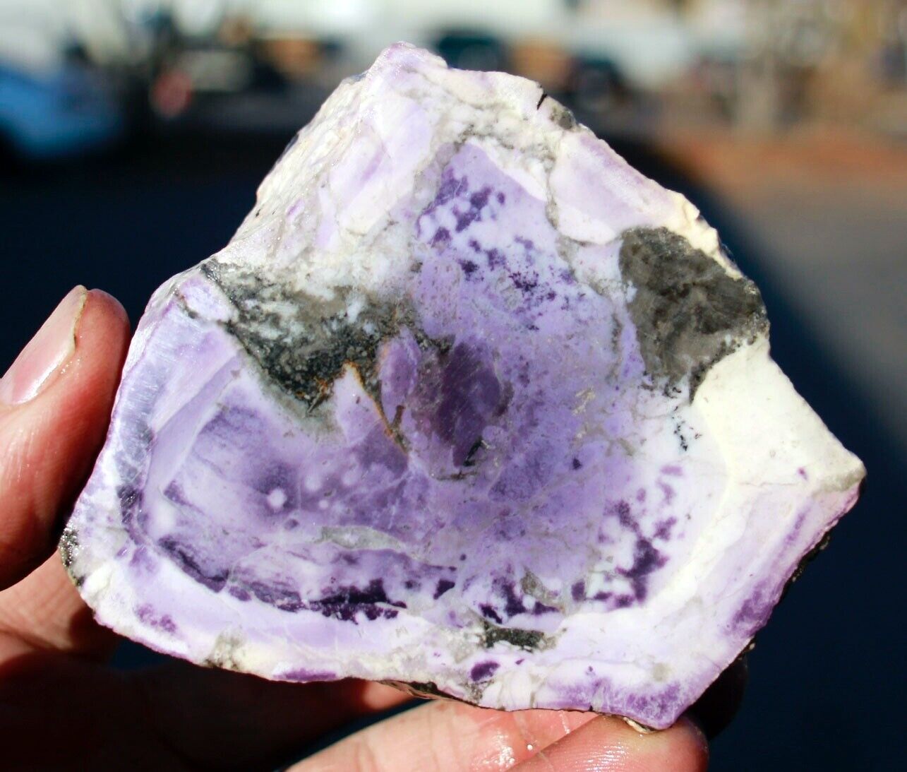 Utah Tiffany Stone • Rough • 9.3 oz./264 grams