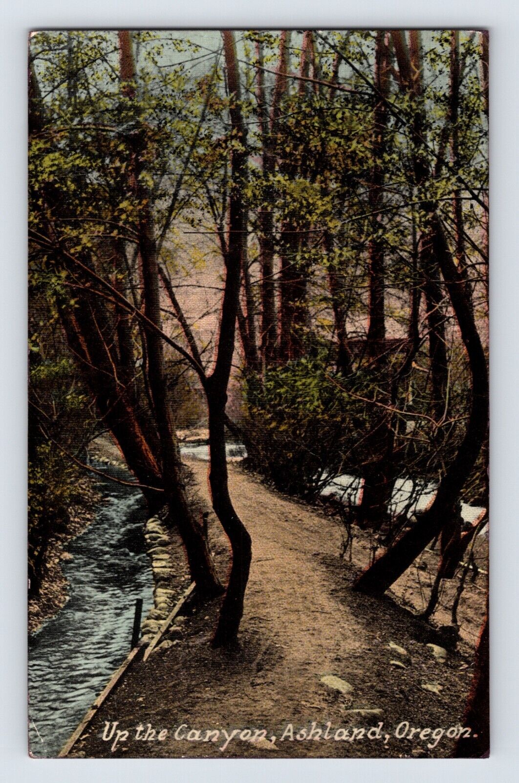 Postcard Oregon Ashland OR Canyon Creek 1922 Posted Divided Back