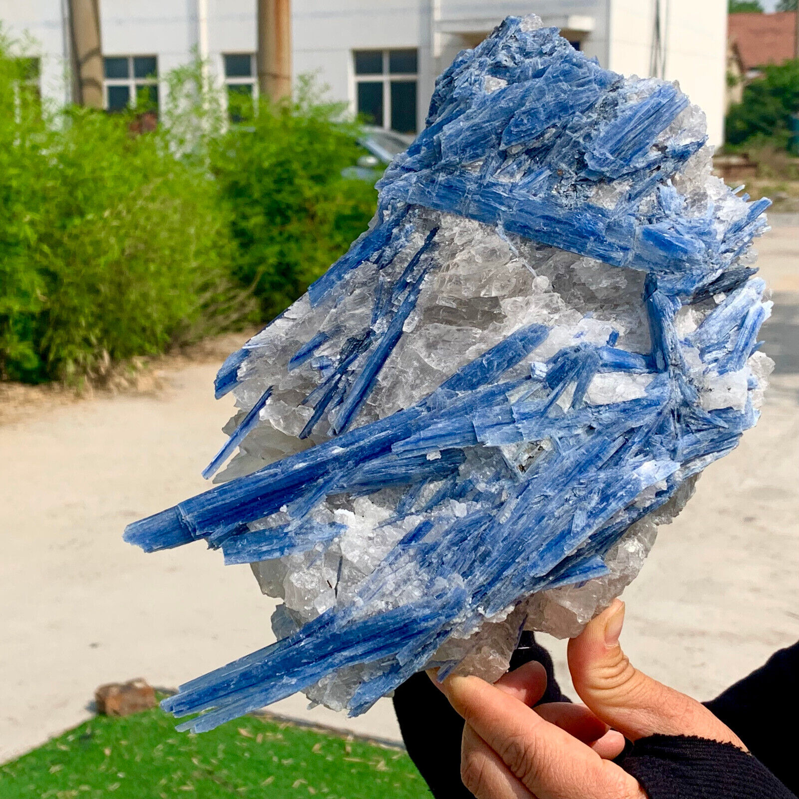 7.33LB Rare Natural beautiful Blue KYANITE with Quartz Crystal Specimen Rough