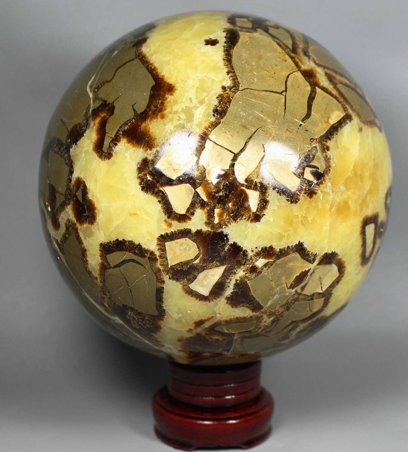 10.9lb Polished DRAGON SEPTARIAN Ball sphere Crystal w/Rosewood Stand Madagascar
