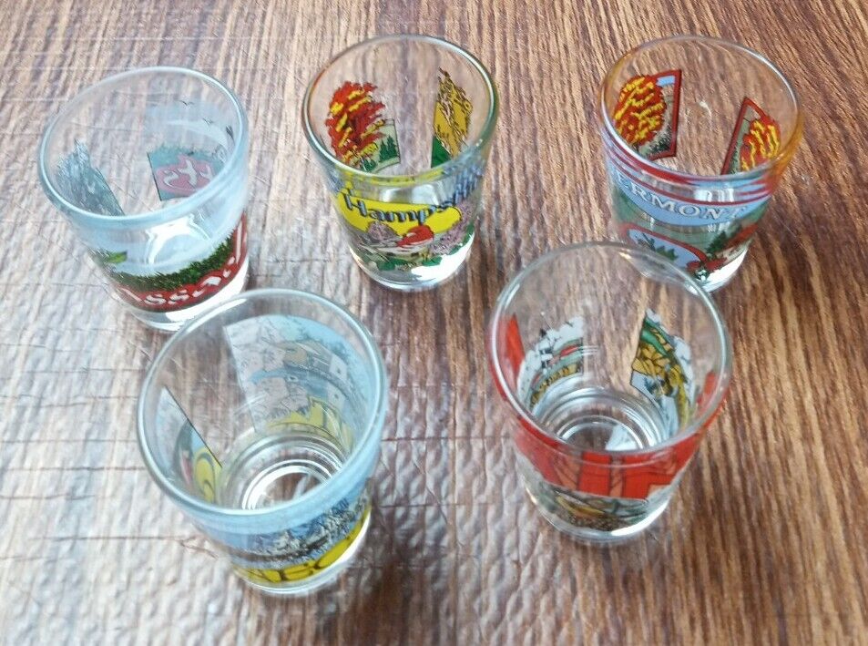 Vintage Shot Glasses of Different US States W/ Variety of Designs Set of 5