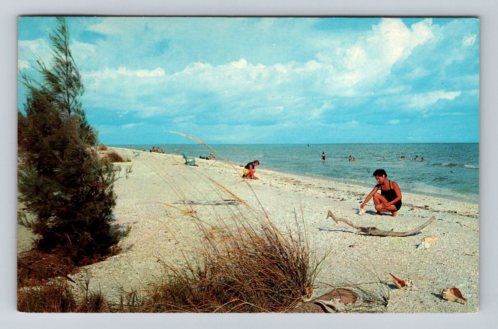 Captiva Islands FL-Florida, Shelling And Swimming Pool, Vintage c1966 Postcard