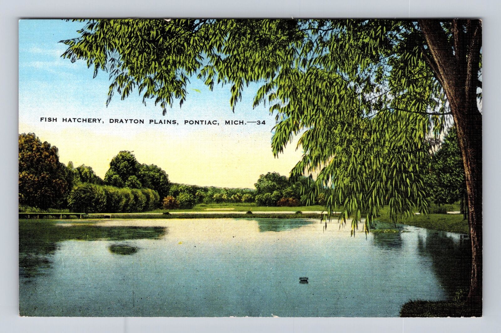 Pontiac MI-Michigan, Fish Hatchery, Drayton Plains, Antique, Vintage Postcard