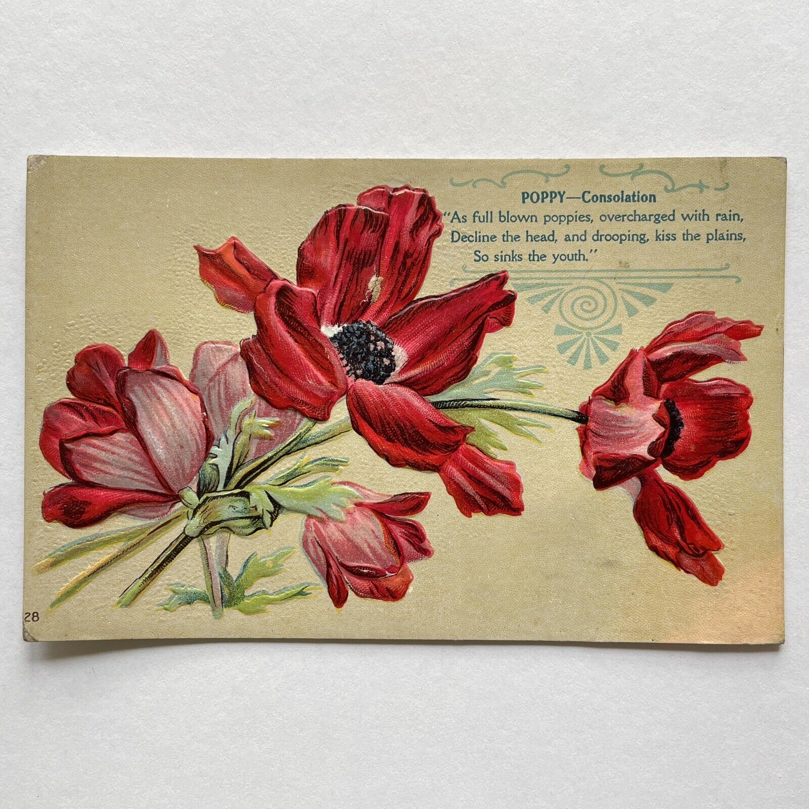 RED POPPIES & POEM Postcard c1906 Embossed Poppy Flowers