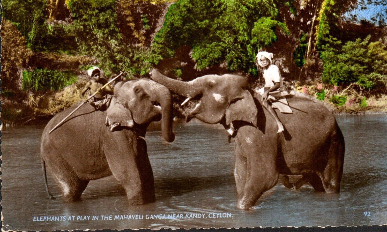 Old Ceylon Postcard Unposted - Elephants in the Mahaweli Ganga near Ceylon {v}