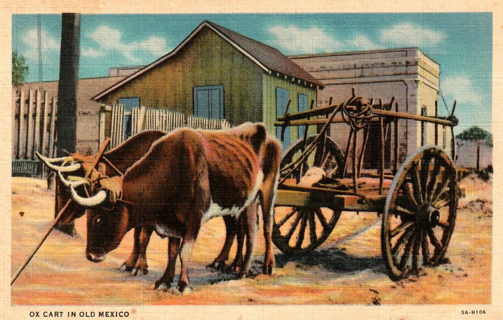 Ox Cart in Old Mexico Vintage Linen Postcard