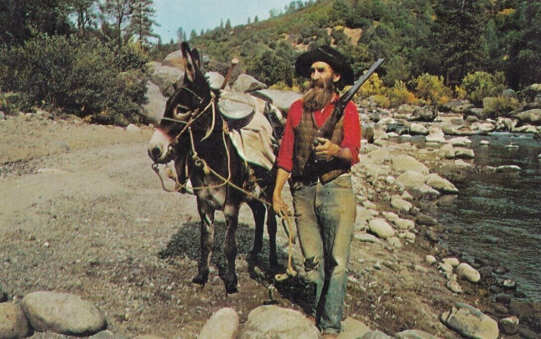 c1970 \'Old Ben Fullingim\' and Donkey \'Nugget\', Toulumne County, CA. Unposted