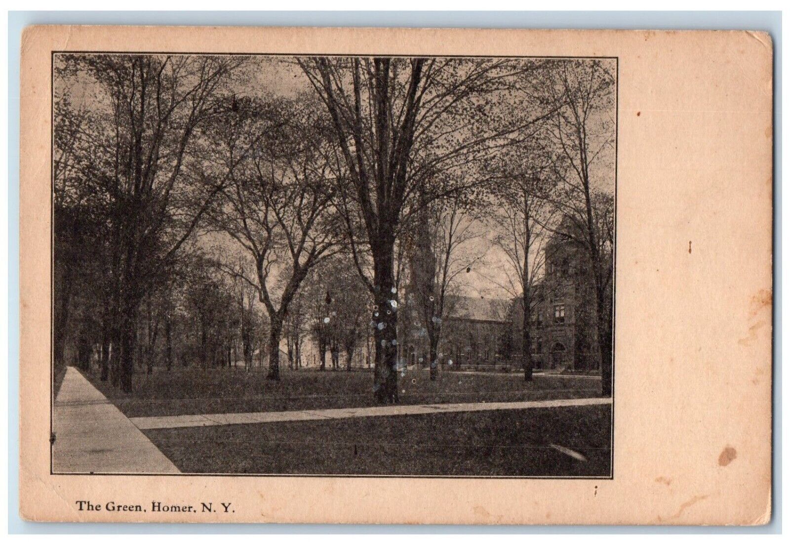 c1905 Green Sidewalk House Exterior Homer New York NY Vintage Antique Postcard
