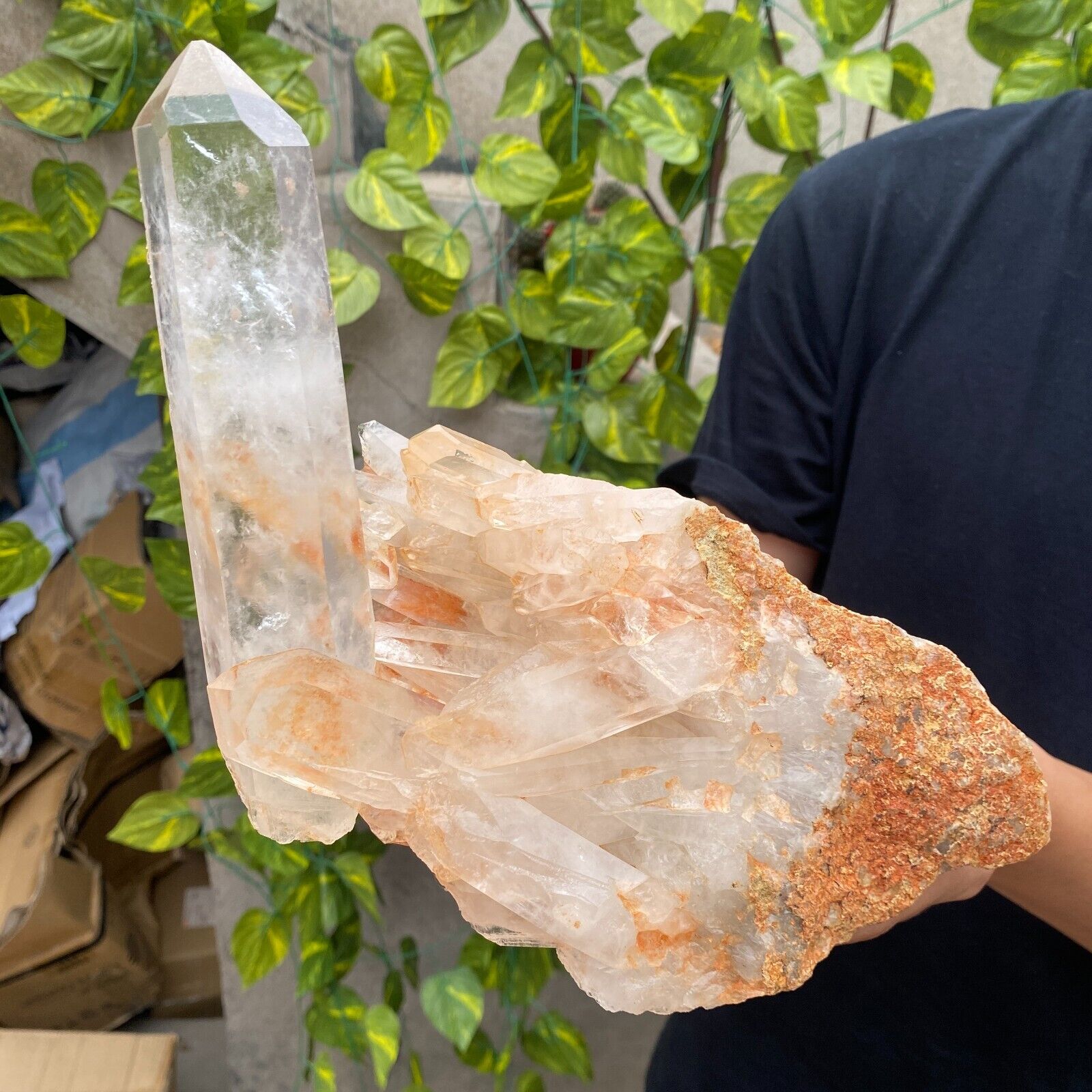 1825G Large Natural White Clear Quartz Crystal Cluster Raw Healing Specimen