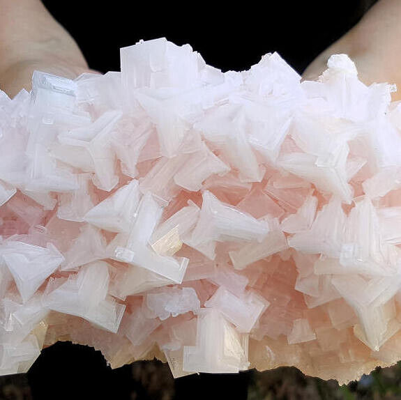 BIG 6 1/4 INCH WORLD CLASS PINK HALITE CRYSTAL CLUSTER