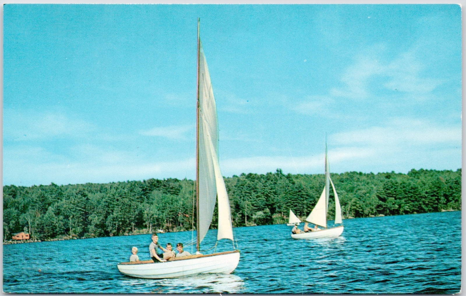 Sailboats Lake Summer Fun Family Activities Nature Vintage Postcard