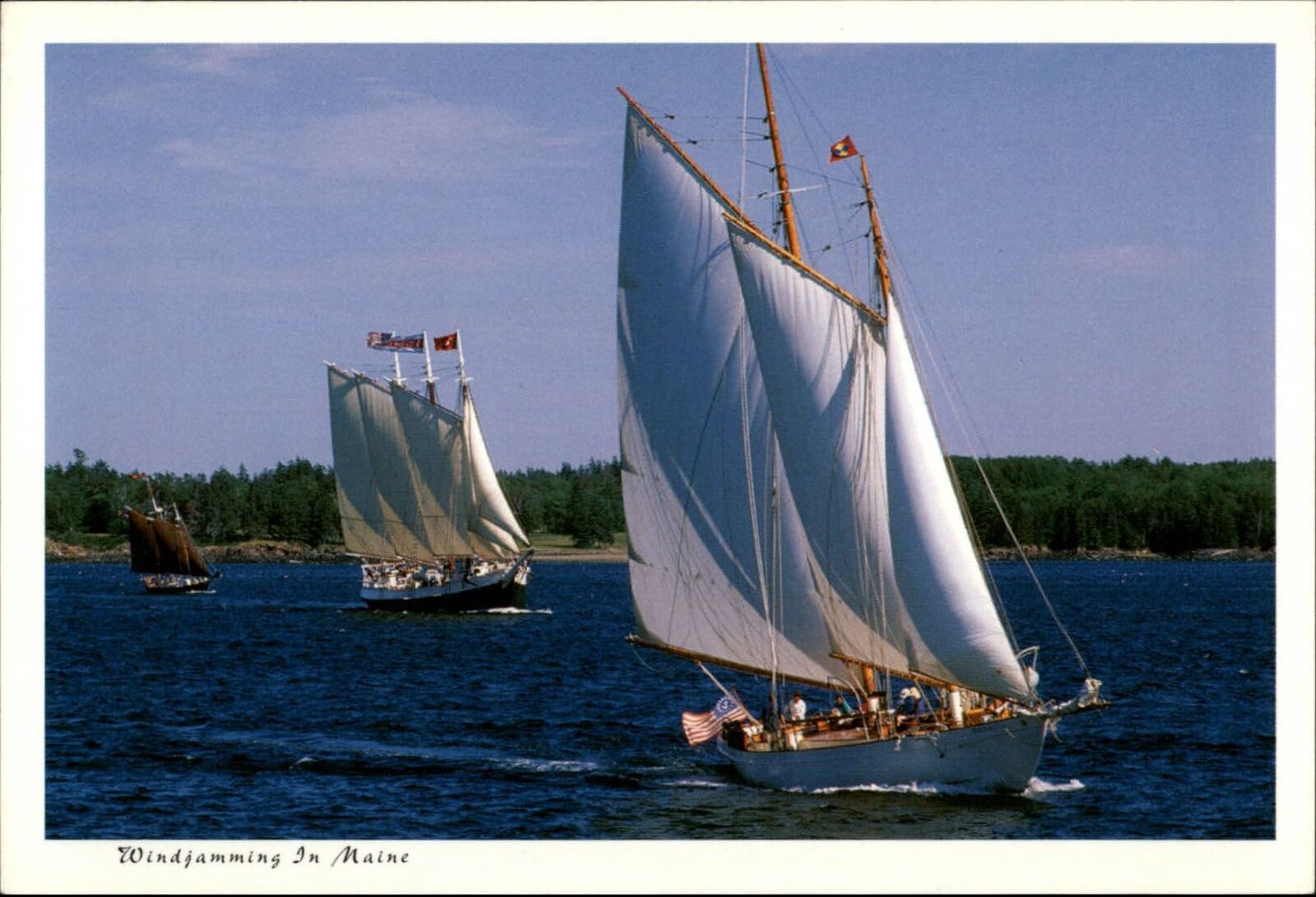 Penobscot Bay Maine Windjammers parading ~ postcard sku199