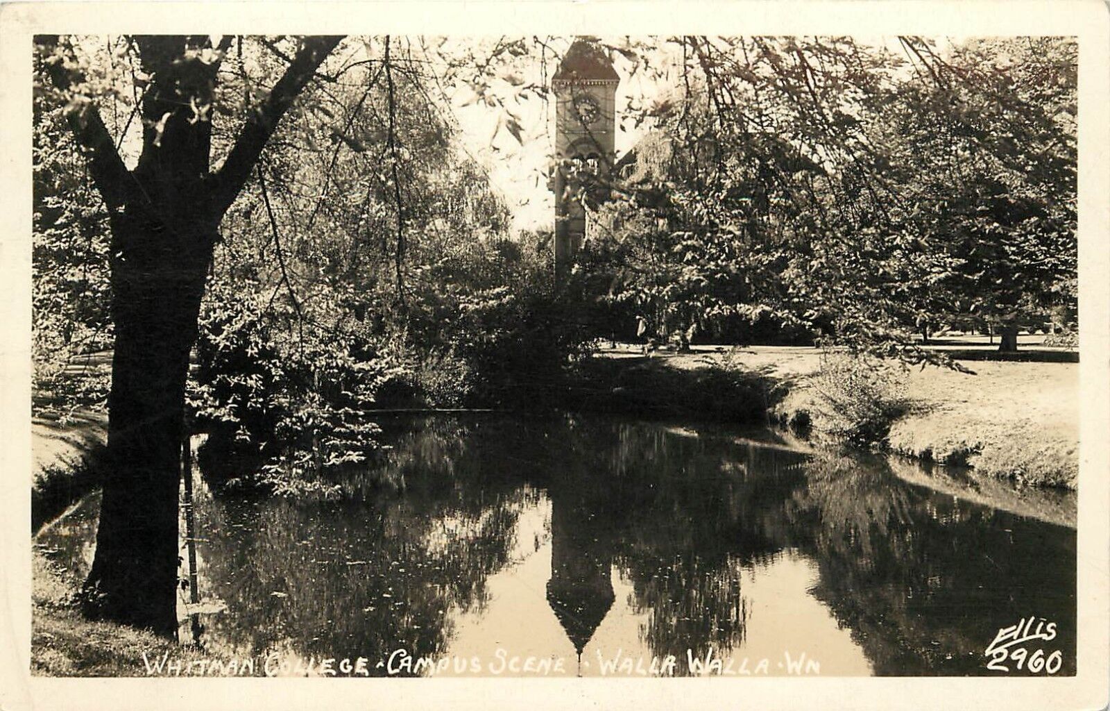 1940s RPPC Postcard Whitman College Campus Scene, Walla Walla WA Ellis 2960