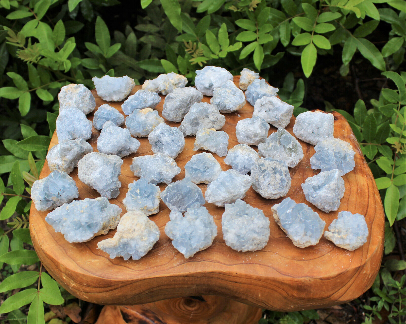Mini Celestite Crystal Cluster Bulk Wholesale Lots (Sky Blue Celestite Druze)